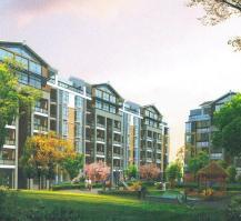 江油二手房爆料最新消息,揭秘价格走势与热门房源  第2张